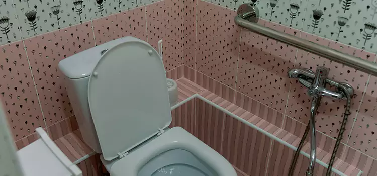 Meeting Diverse Needs With Accessible Restroom Solutions in Columbia Heights, MN